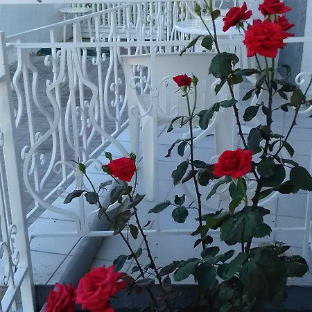 Sun Helios Garden Thasos
