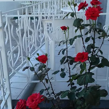Sun Helios Garden